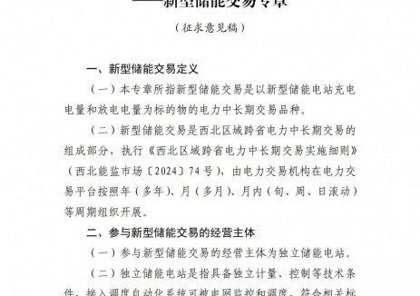 《西北区域跨省电力中长期交易实施细则——新型储