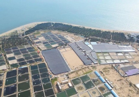 海天之间，渔光共舞：思格新能源用全模块化储能破解养