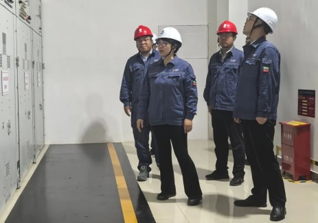 化地企合作、推动绿色发展！国家电投新疆公司张玮赴新疆乌鲁木齐市达坂城区调研座谈