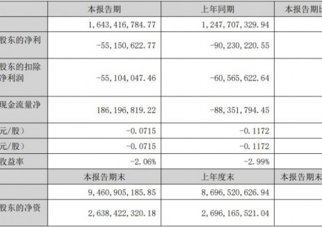 智光电气2025年上半年实现营收16.43亿元 同比增长