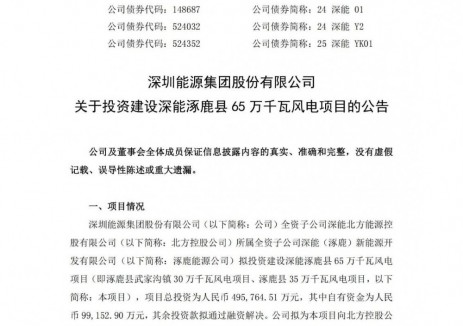 配储100MW/400MWh！深圳能源投建65万千瓦风电项目