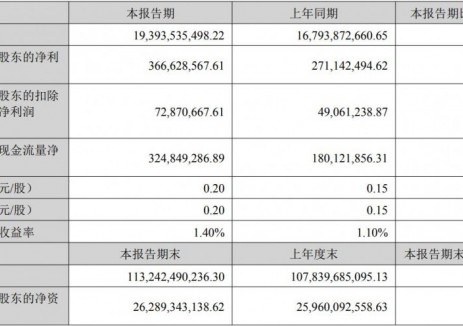 国轩高科2025年上半年实现营收193.9亿元