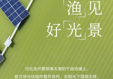 首航新能源航拍案例 | “渔”见好“光”景，沧州千亩鱼塘化身绿色电站