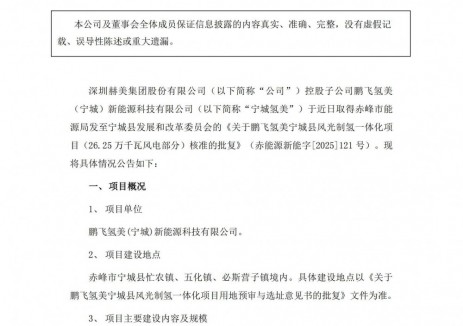 配储40MW/160MWh！赫美集团控股子公司风光制氢项目获批