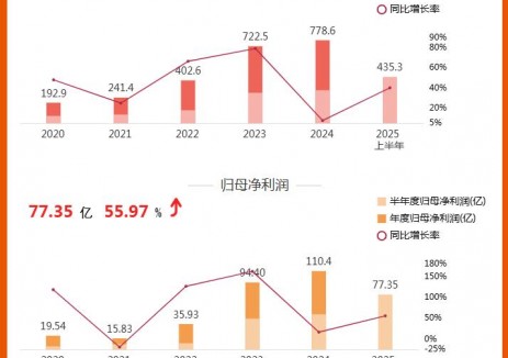 同比增长40.34%！阳光电源2025上半年财报公布