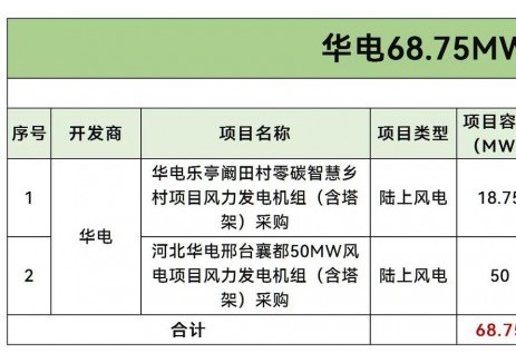 招标 | 华电68.75MW风电项目风机采购招标