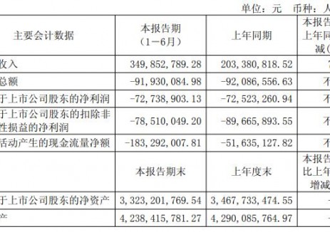 华盛锂电2025年上半年实现营业总收入3.5亿元 同比增长72.02%