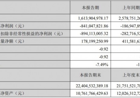 盛新锂能2025年上半年净亏损8.41亿元