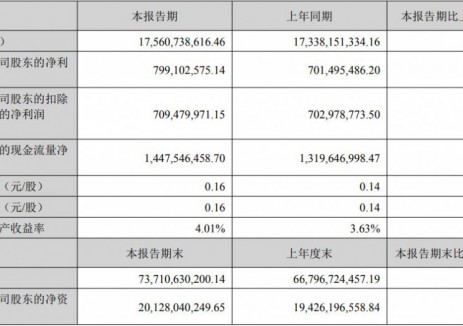 格林美2025年上半年净利润7.99亿元，同比增长13.91%