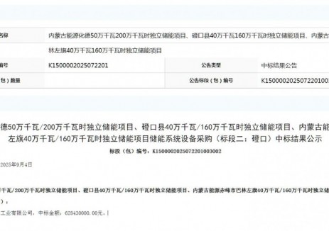 中标｜<em>山东电工</em>时代中标内蒙古能源5.2GWh储能系统（标段三：巴林左旗）设备采购