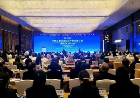 水电总院谢宏文：解读中国可再生能源转型进展 共探中阿可再生能源标准国际合作新路径