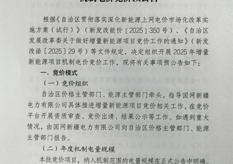 新疆启动2025年度增量新能源项目机制电价竞价