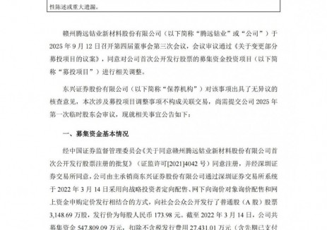 腾远钴业拟变更部分募投项目