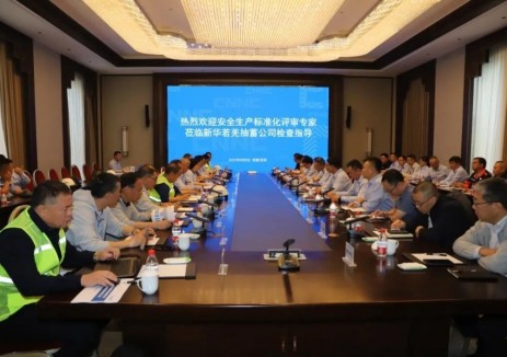 新疆若羌抽水蓄能电站项目顺利通过中核集团安全生产标准化二级达标评审