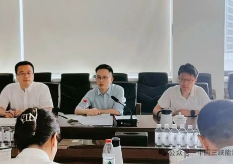 加快推动在建海上风电项目并网投运！<em>三峡</em>能源主要领导赴辽宁区域调研