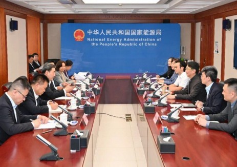 国家能源局主要负责人会见香港中华煤气有限公司主席