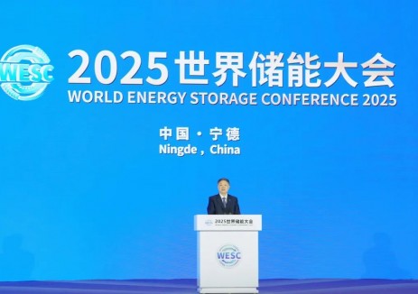 <em>溫樞剛</em>出席2025世界儲能大會并致辭