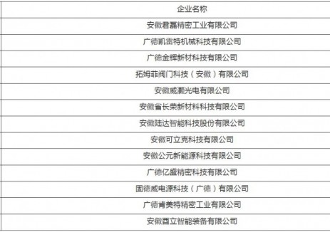 13家光储企业入选！安徽广德市公示奖补名单
