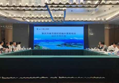 <em>三峡</em>建工开展重庆奉节菜籽坝抽水蓄能电站主体工程招标设计方案审查
