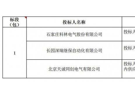 投标人被否决！中国石油甘肃销售公司2025年工商业储能设备框采流标