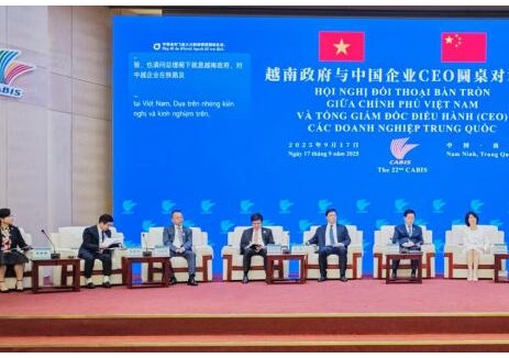 <em>中国</em>能建加大在越电力投资，助力越南能源绿色转型