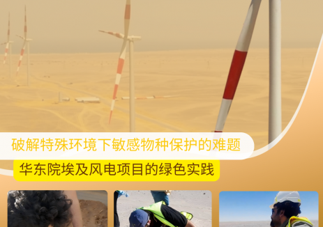 守护红海沙漠生态：<em>华东</em>勘测设计研究院埃及风电项目的绿色实践