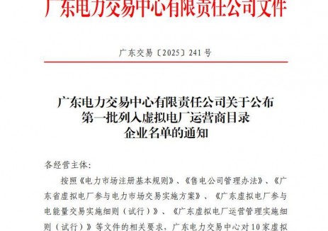 首批10家运营商公布！广东启动虚拟电厂交易！<em>独立储能</em>、光伏、风电为主体！