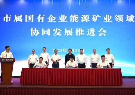 重庆推动市属国企能源<em>矿业</em>领域协同发展