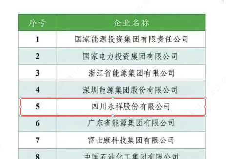 中国绿电消费百强出炉！永祥股份位列<em>国内</em>民营企业首位