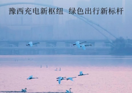 打卡三门峡城市出行新地标：“天鹅之城”绿色补能再升级