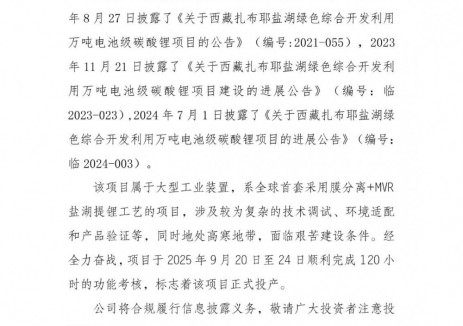 西藏矿业万吨级碳酸锂项目正式投产