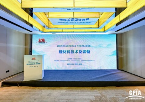 2025光伏行业技术百人会主题论坛——硅材料技术及装备、高效<em>电池</em>技术及装备会议顺利举行