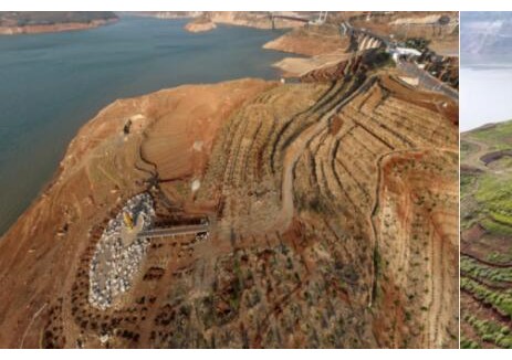 乌东德、白鹤滩水电站库区消落带生态修复一期工程顺利完成阶段验收