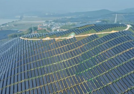 茶光共舞映滇南 匠心服务筑标杆 | 英利能源与中国电建共谱乡村振兴新篇