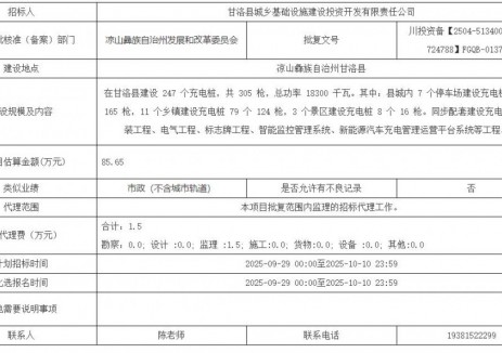 招标 | 247个充电桩！四川凉山甘洛县<em>新能源电动汽车</em>充电基础设施建设项目