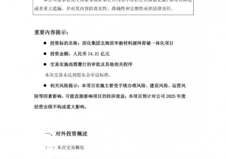 滨化股份14.21亿元投建源网荷储一体化项目