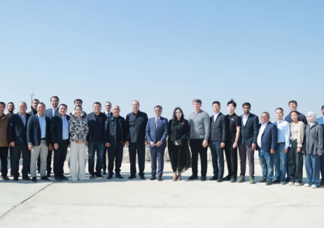 乌兹别克斯坦总理视察！中亚地区最大电化学储能项目