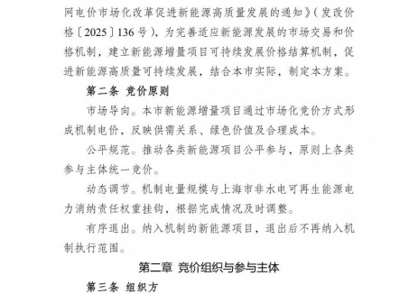 上海启动2025年度新能源增量项目机制电价竞价
