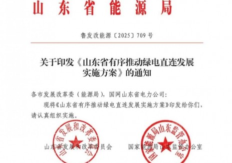 支持四类项目！山东省有序推动绿电直连发展实施方案印发
