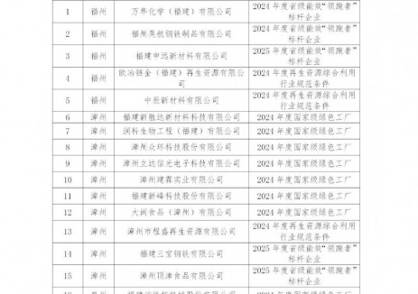 福建省2025年工业节能降碳和循环经济专项资金拟奖补项目名单(第一批)发布