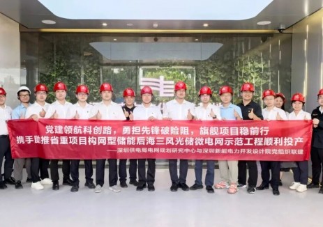国内首套变电站构网型风光储一体化系统投运！禾望筑牢