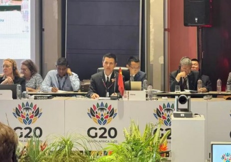 国家能源局负责人赴南非出席二十国集团能源转型部长会议