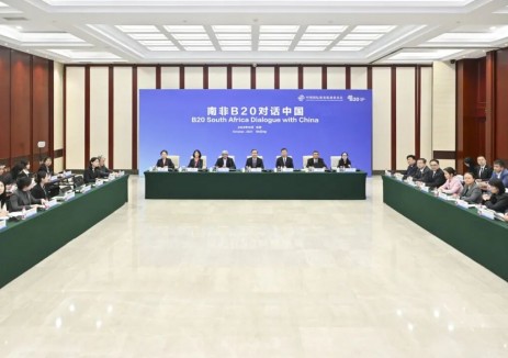 中國民營企業(yè)代表，<em>晶科能源</em>將出席南非B20峰會