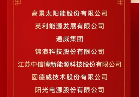 “钛能奖·2025年度光伏领袖企业”奖项揭晓！