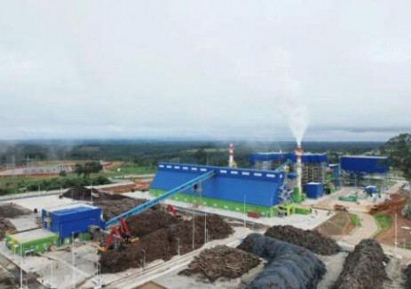 西非在建最大<em>生物</em>質電站一號機組首次并網成功