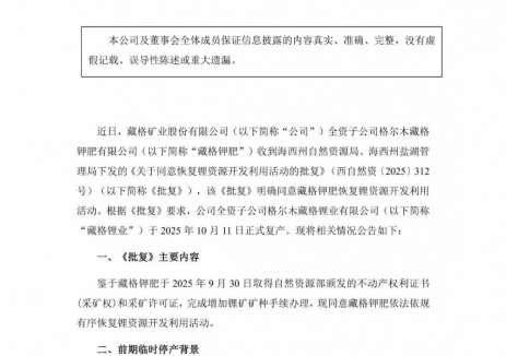 藏格礦業(yè)全資子公司藏格鋰業(yè)<em>正式</em>復產(chǎn)