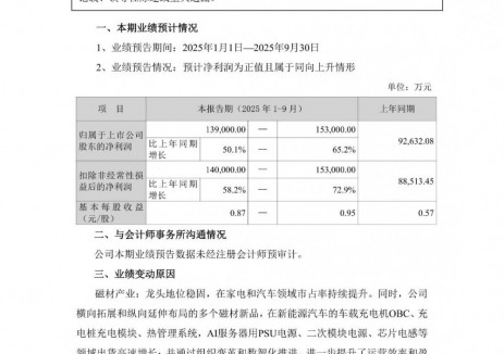 横店东磁2025年前三季度净利预增超50%
