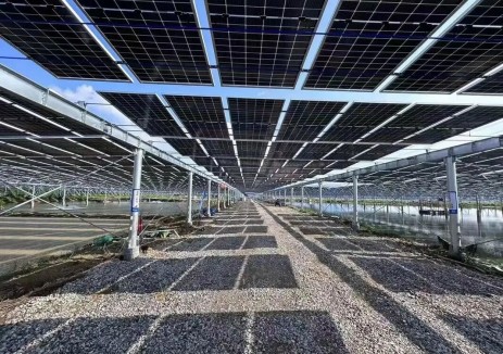 科普丨什么是柔性支架的“预应力”？