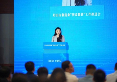 以灯塔为标，赋能智改数转——通威股份董事长、CEO刘舒琪出席眉山市制造业“智改数转”工作推进会