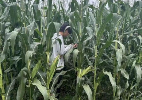 地信院穩(wěn)步推進(jìn)<em>三一重能</em>天津?qū)氎?60MW風(fēng)電測繪技術(shù)服務(wù)項(xiàng)目